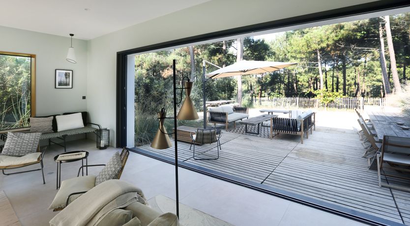 Photo of Whimsical Wilderness