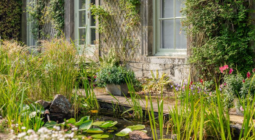 Photo of The Garden Glory