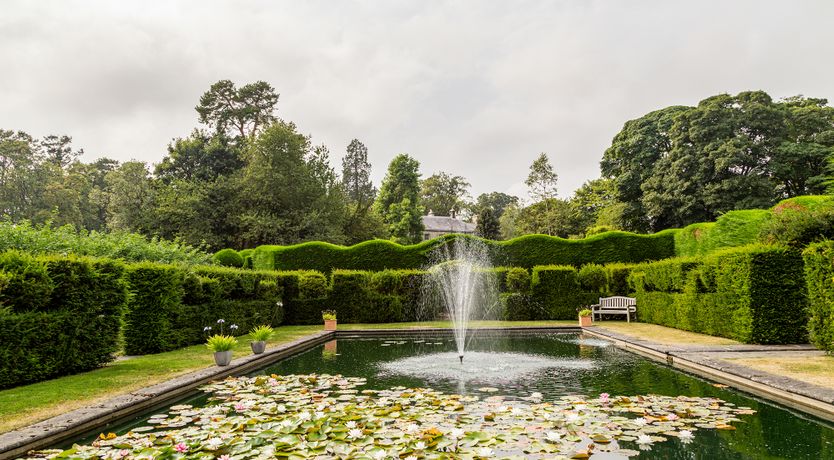 Photo of The Garden Glory