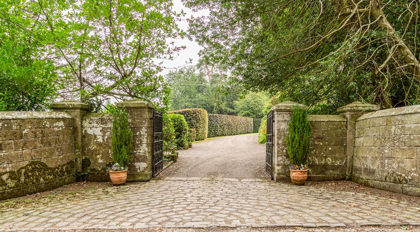 Photo of The Garden Glory