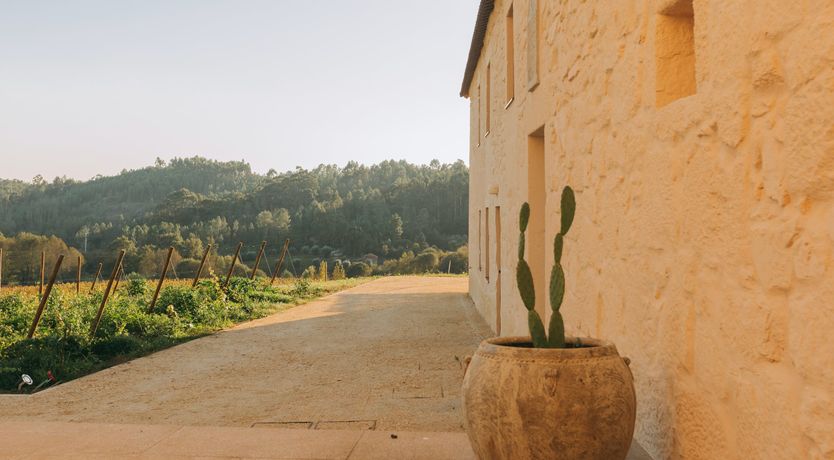 Photo of Taste of Tradition