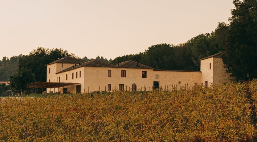 Photo of Taste of Tradition