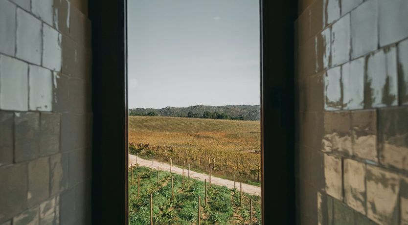 Photo of Taste of Tradition