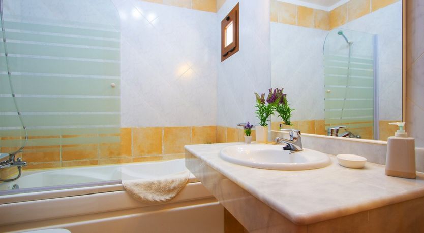 Photo of Cacti on the Coast