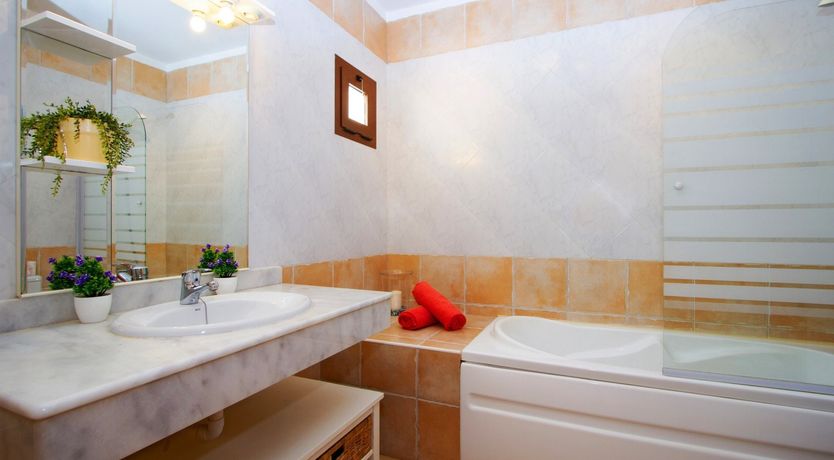 Photo of Cacti on the Coast