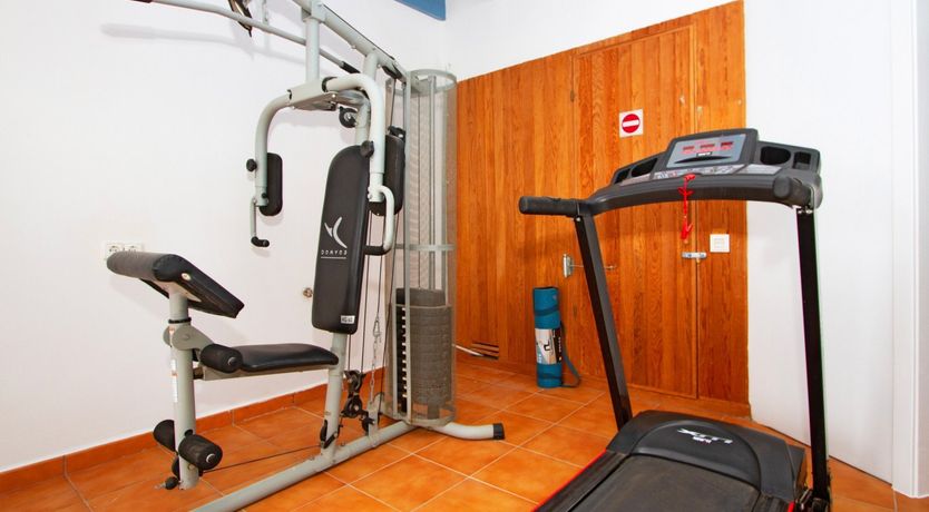 Photo of Cacti on the Coast