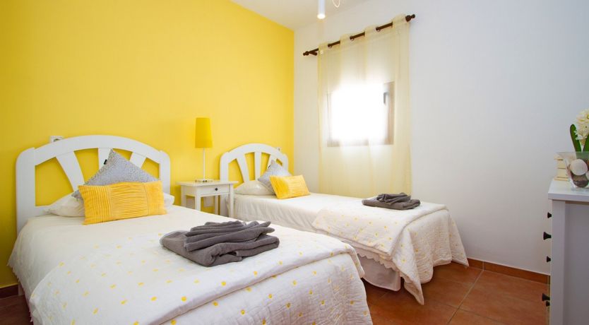 Photo of Cacti on the Coast