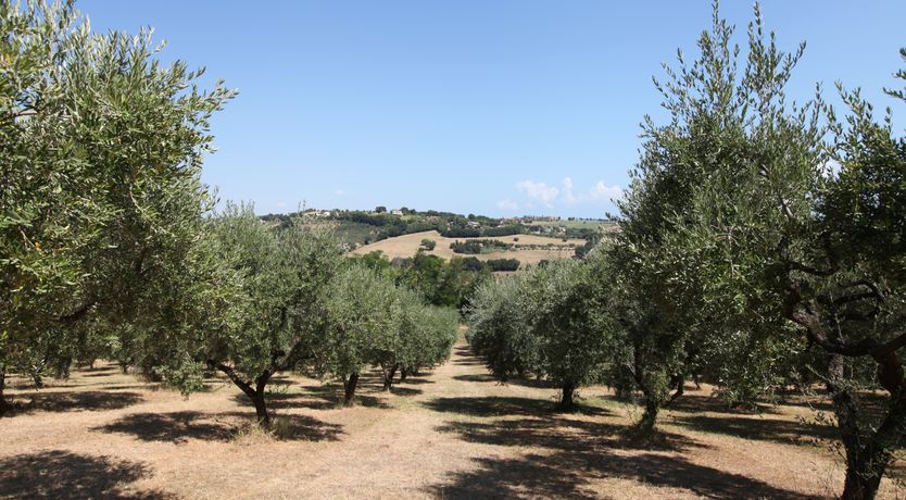 Photo of Villa Ascolane