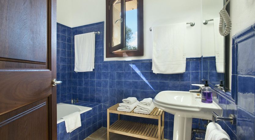 Photo of Shades of Summer