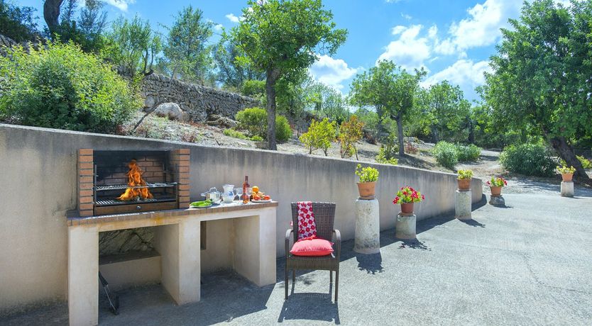 Photo of Shades of Summer