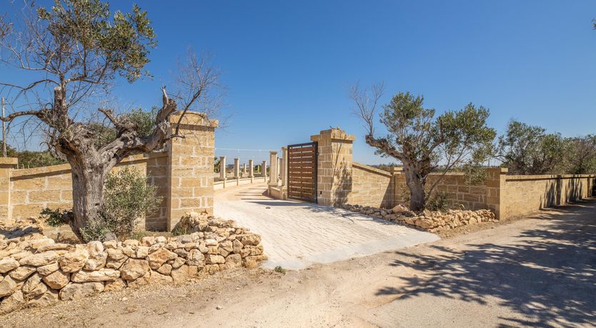 Photo of Dreamy Driftwood