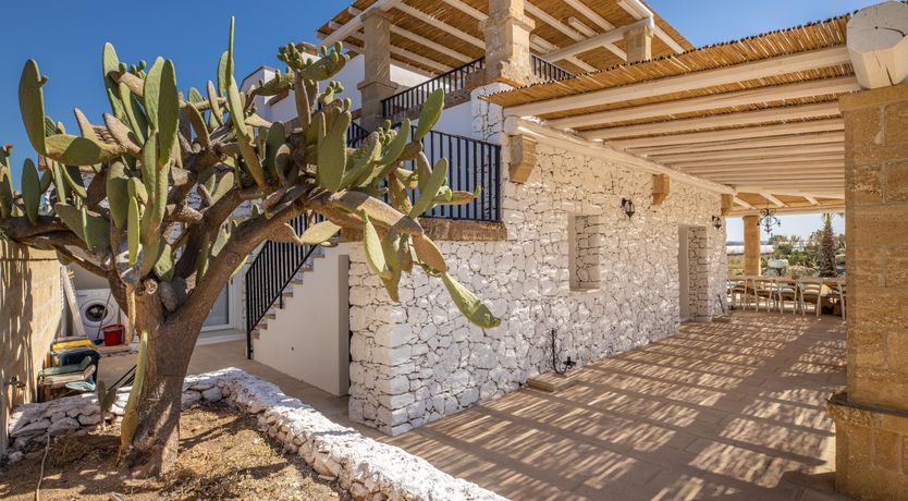 Photo of Dreamy Driftwood