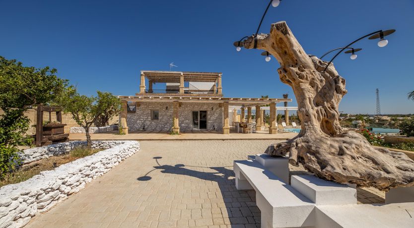 Photo of Dreamy Driftwood