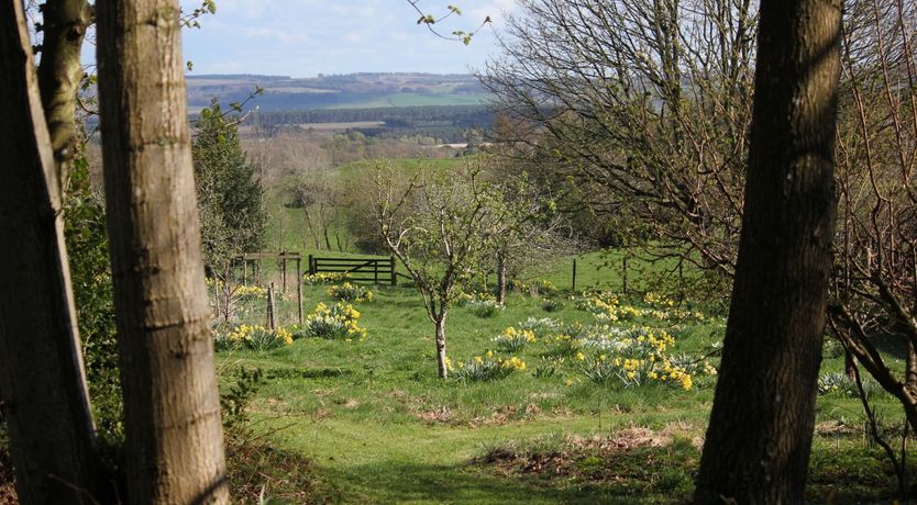 Photo of Pheasant Grove