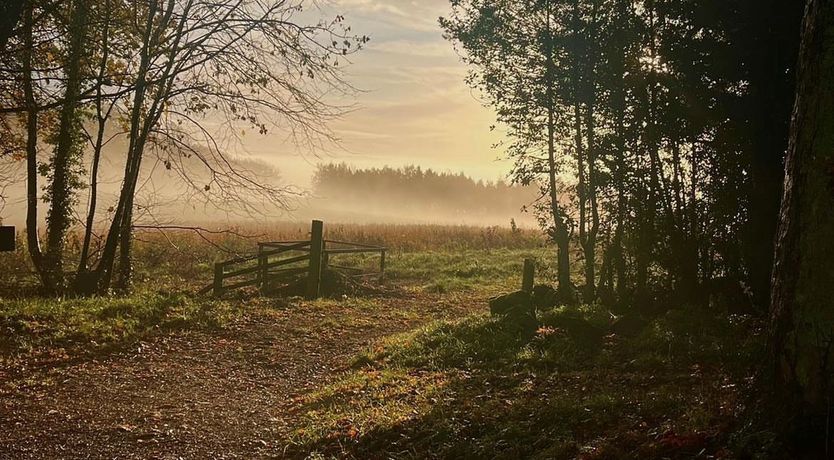 Photo of Pheasant Grove