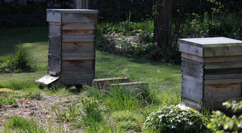 Photo of Pheasant Grove