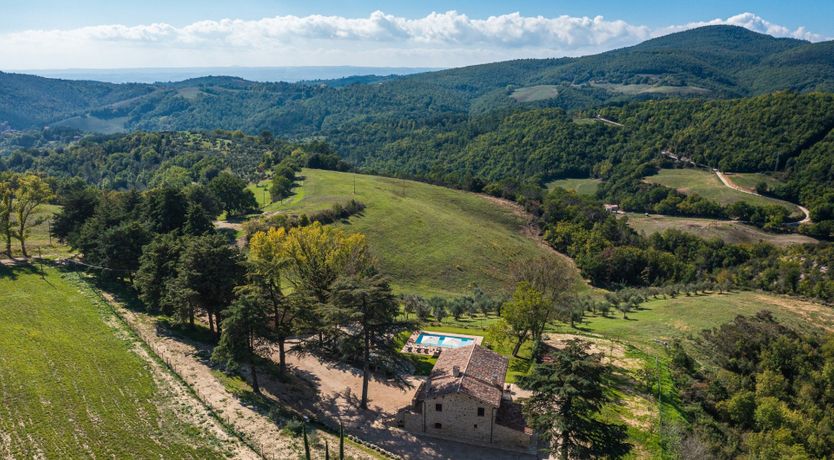 Photo of Live to Love