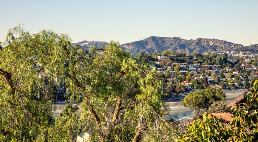 Photo of Earth & Sage