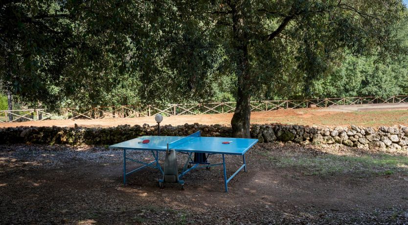 Photo of The Sweetest Life