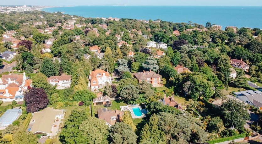 Photo of Sparkling Elderflower