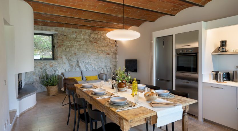 Photo of Lavender Cypress