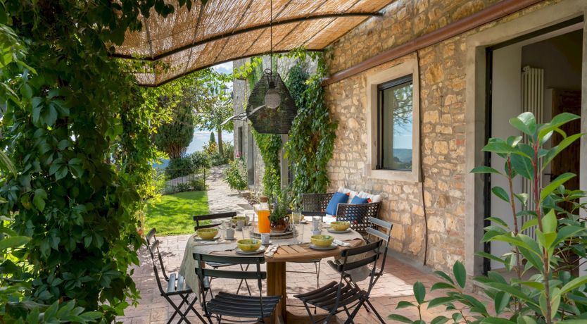 Photo of Lavender Cypress