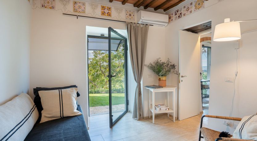 Photo of Lavender Cypress