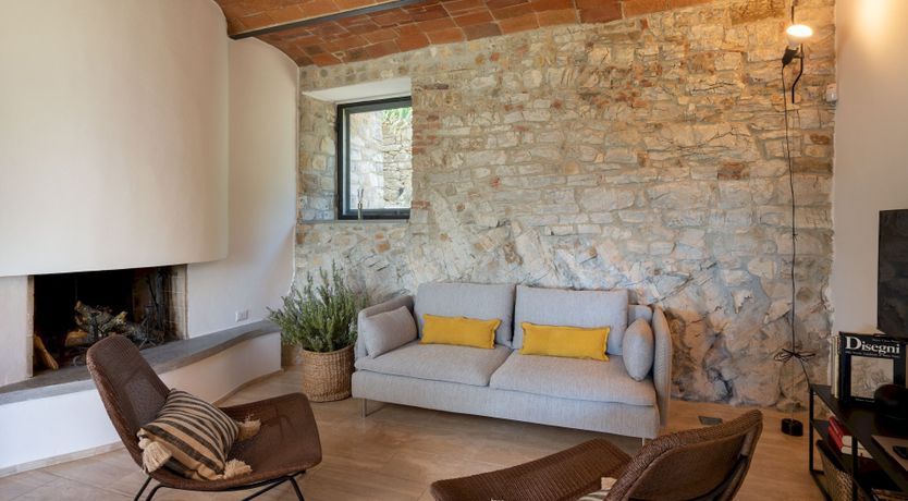 Photo of Lavender Cypress