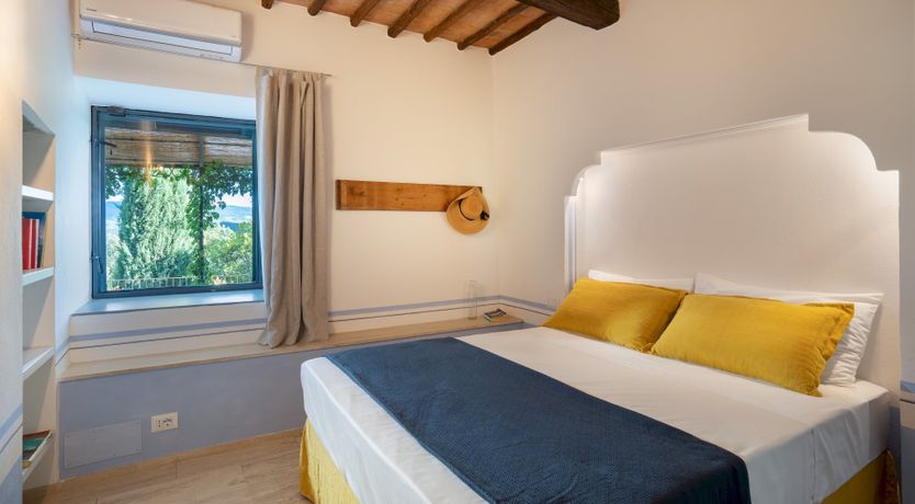 Photo of Lavender Cypress