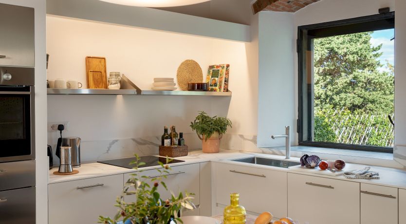 Photo of Lavender Cypress