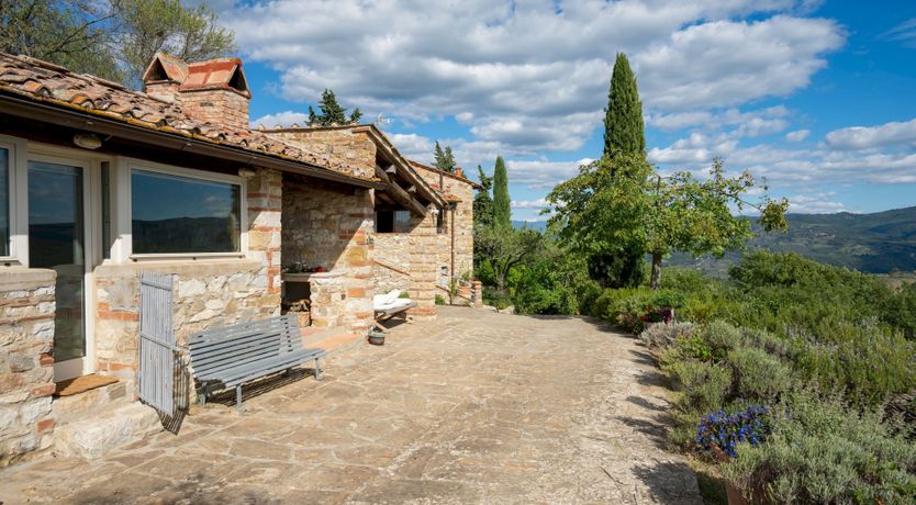 Photo of Lavender Cypress