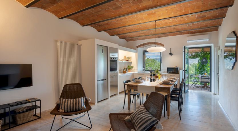 Photo of Lavender Cypress