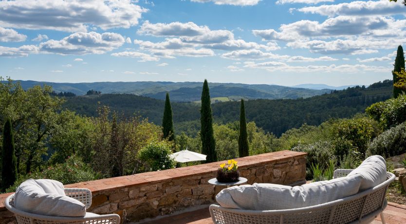 Photo of Lavender Cypress