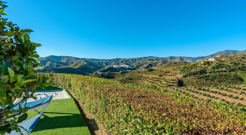 Photo of Almond Eyes