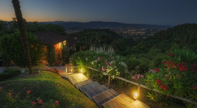 Photo of Chestnut Charm