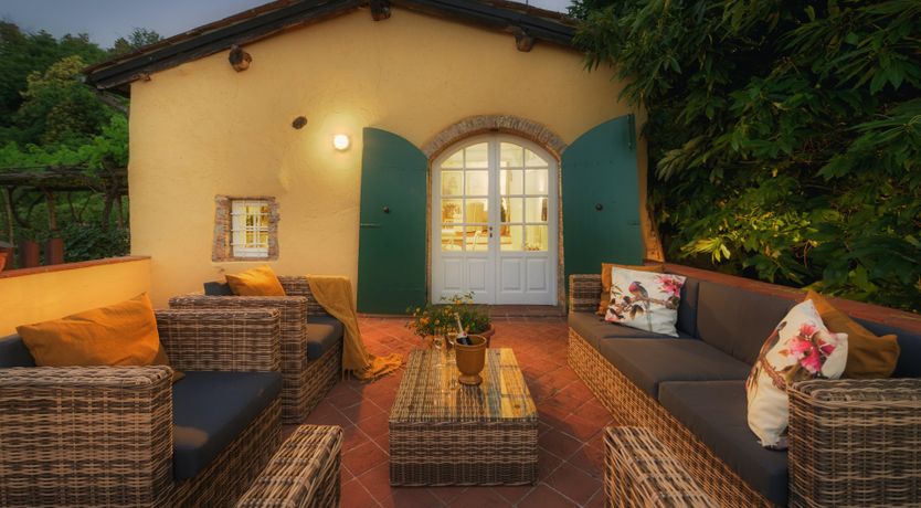 Photo of Chestnut Charm