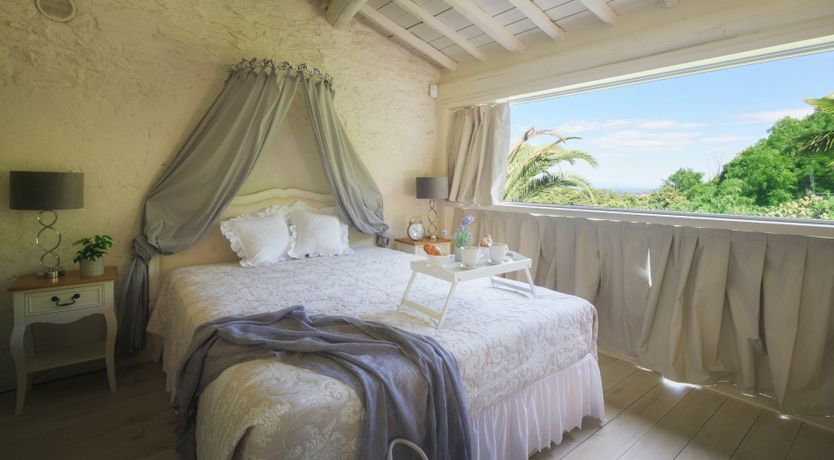 Photo of Chestnut Charm