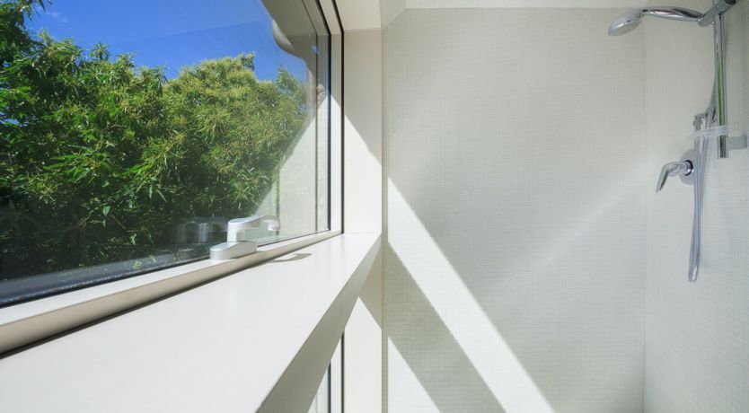 Photo of Chestnut Charm