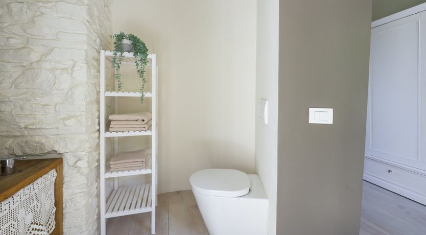 Photo of Chestnut Charm