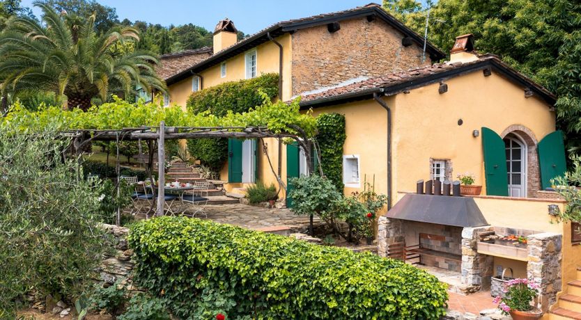 Photo of Chestnut Charm