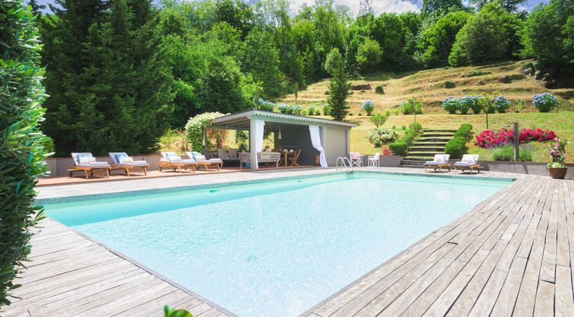 Photo of Chestnut Charm