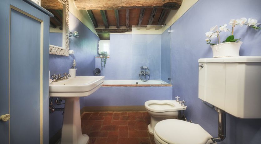 Photo of Chestnut Charm