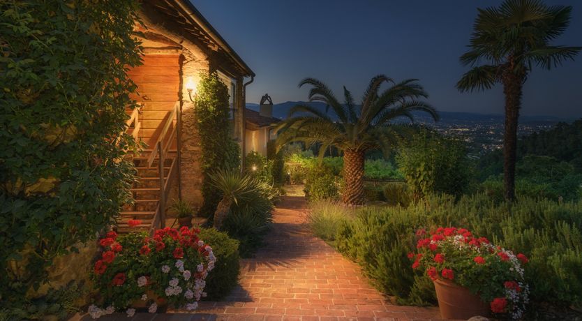 Photo of Chestnut Charm