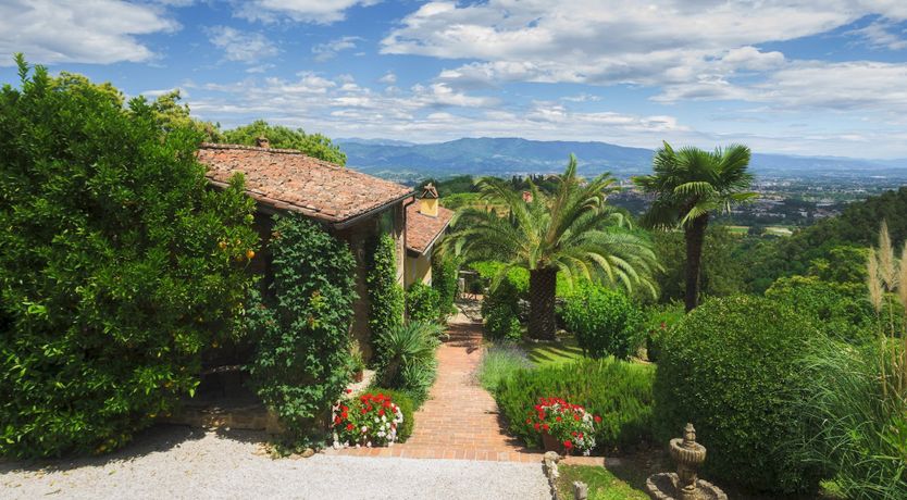 Photo of Chestnut Charm