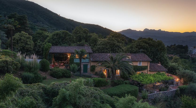 Photo of Chestnut Charm