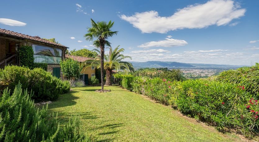 Photo of Chestnut Charm