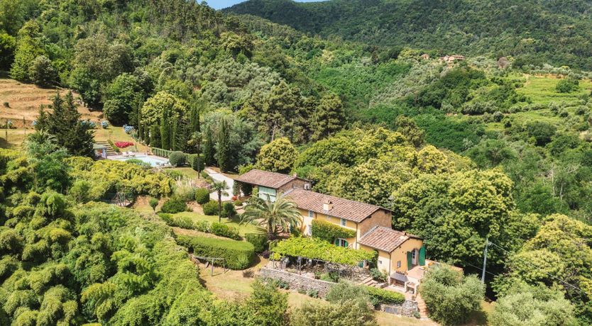 Photo of Chestnut Charm