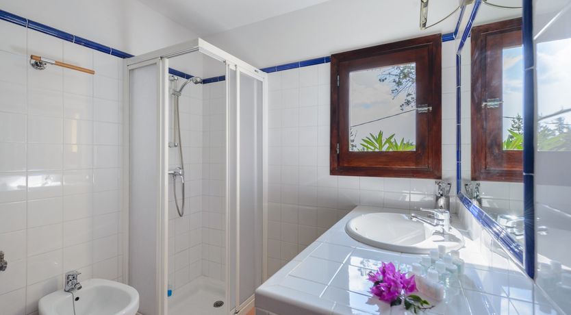 Photo of The Blossoming Orchard