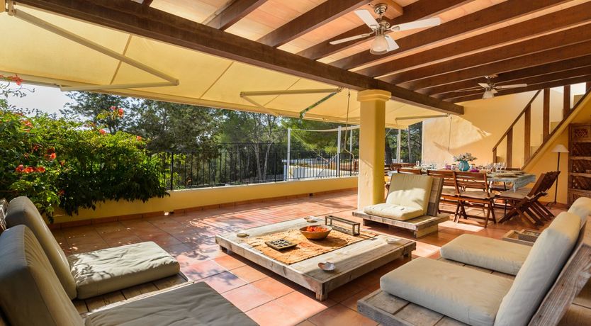 Photo of The Blossoming Orchard