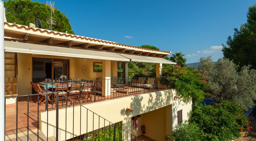 Photo of The Blossoming Orchard